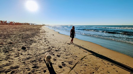 Beach Living! Just a 3 minute walk!